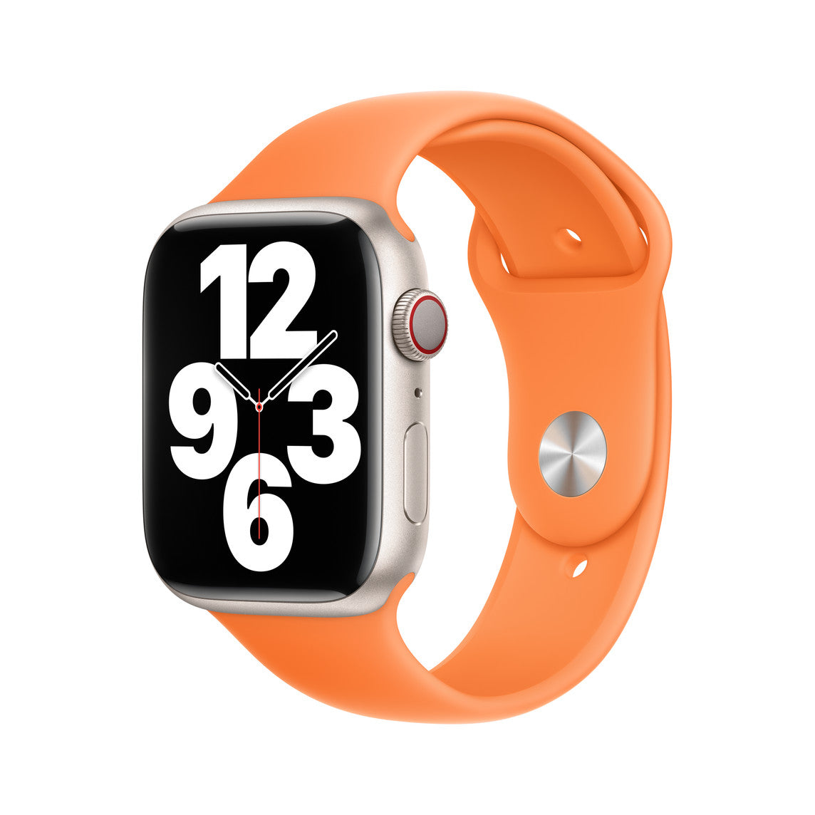 45mm Sport Band