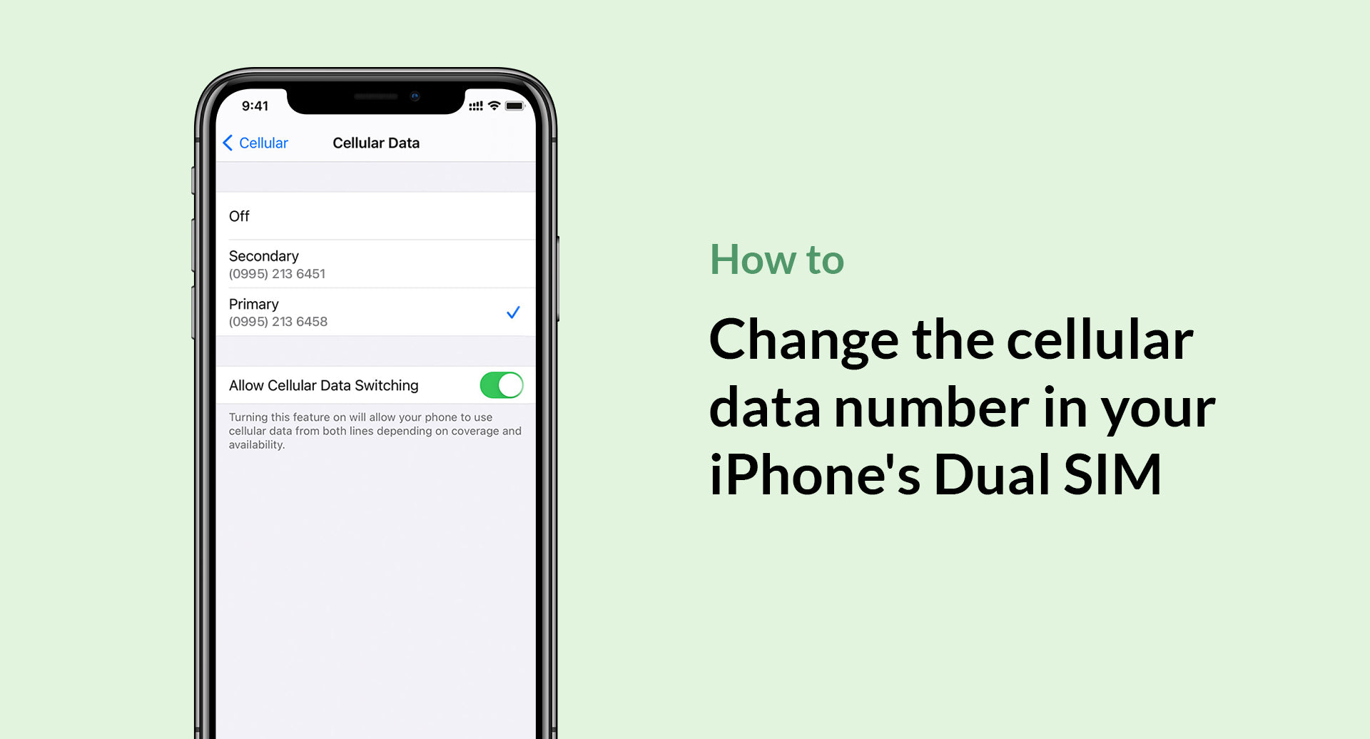 How to change the cellular data number in your iPhone's Dual SIM