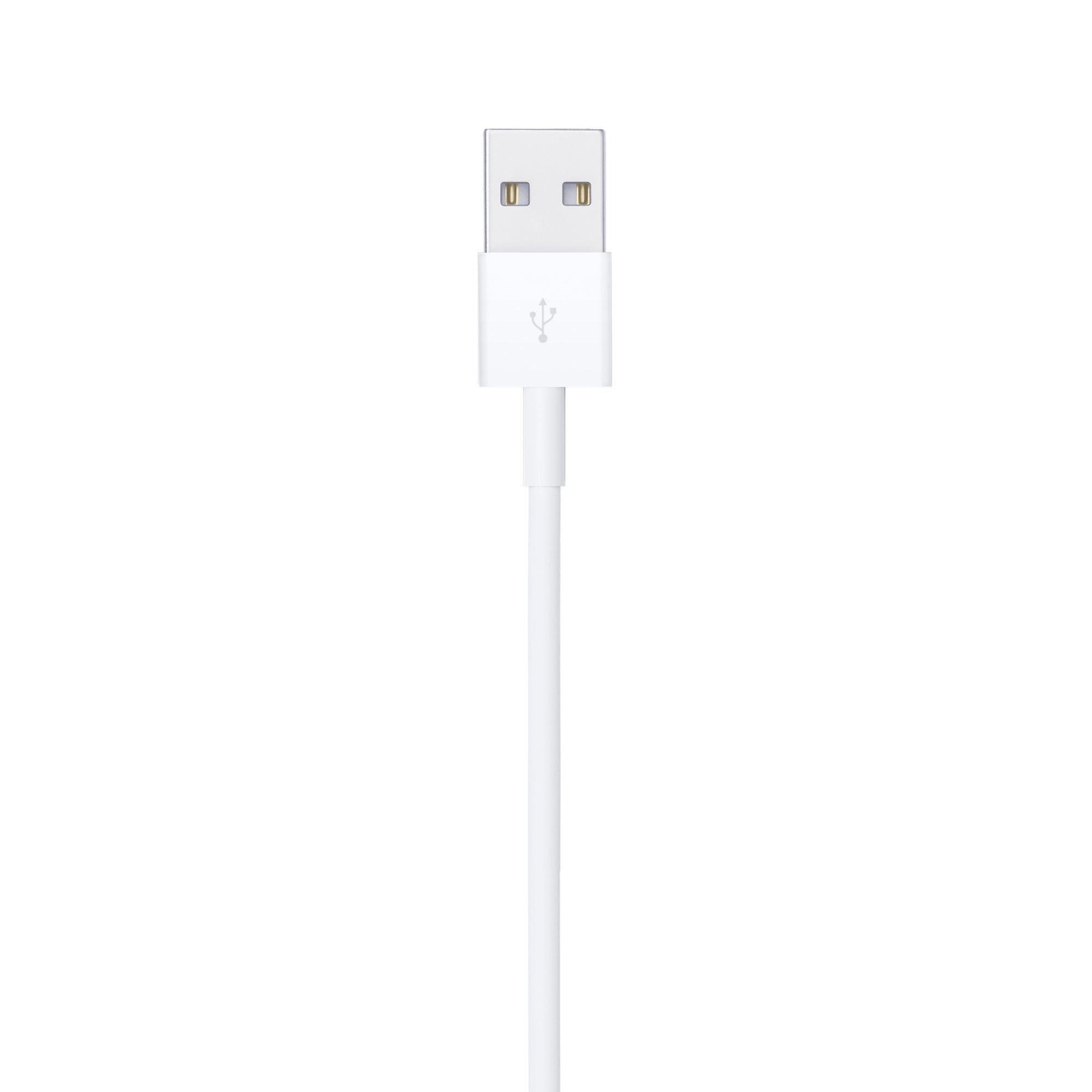 Lightning to USB Cable (1 m)